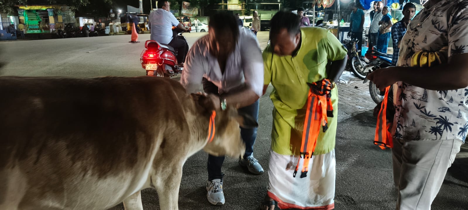 ଗାଈ ବେକରେ ରେଡିୟମ ବେଲ୍ଟ ବାନ୍ଧିଲେ ବିଜେପି ଯୁବ ସଂଗଠକ